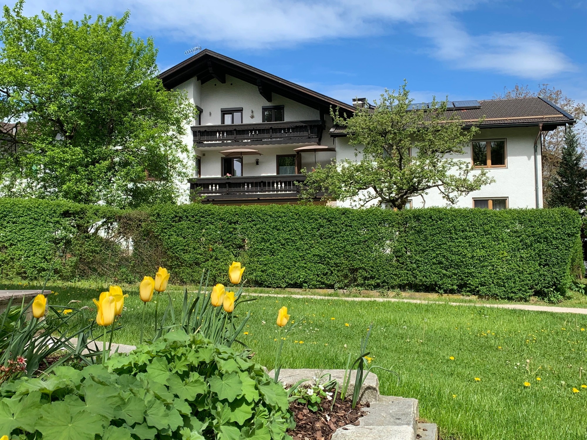 Die Außenansicht eines traditionellen bayerischen Ferienhauses mit weißen Wänden und dunklen Holzbalkonen. Im Vordergrund blühen leuchtend gelbe Tulpen vor einer gepflegten grünen Hecke und einer Rasenfläche.