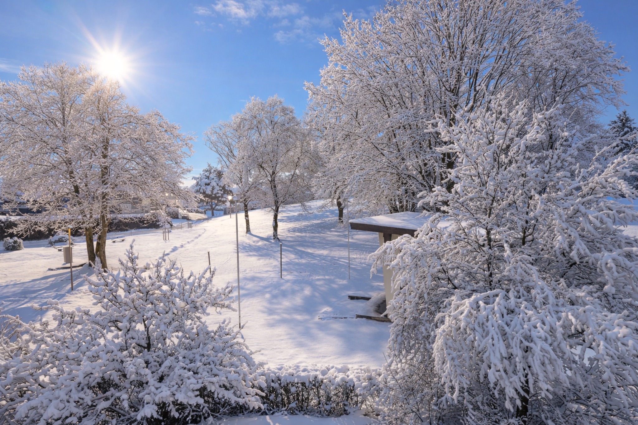 Tief verschneite Bäume in einem Park in Bernau am Chiemsee bei strahlendem Sonnenschein und blauem Himmel.